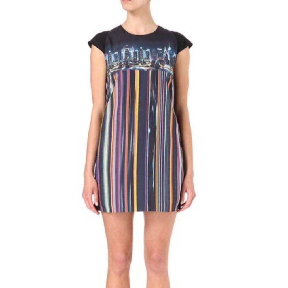 Ted Baker London Nula Skyline Dress Size 0